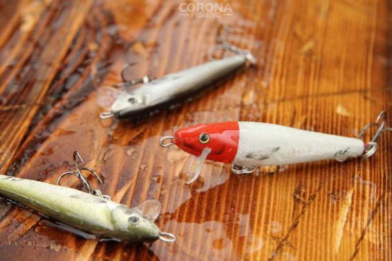 wobler fluo na bolenia